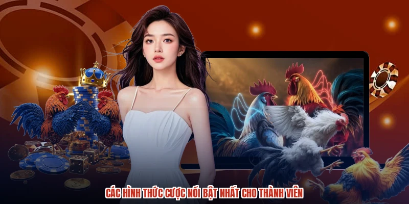 Các hình thức cược nổi bật nhất cho thành viên