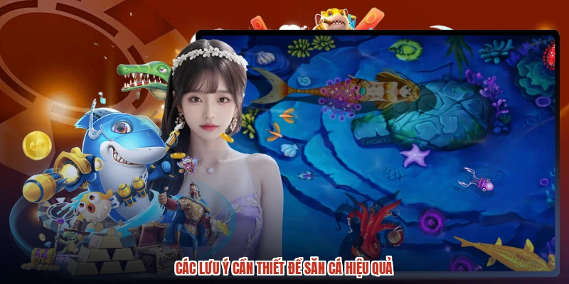 Các lưu ý cần thiết để săn cá hiệu quả Các lưu ý cần thiết để săn cá hiệu quả