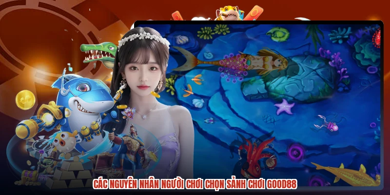 Các nguyên nhân người chơi chọn sảnh chơi GOOD88 Các nguyên nhân người chơi chọn sảnh chơi GOOD88