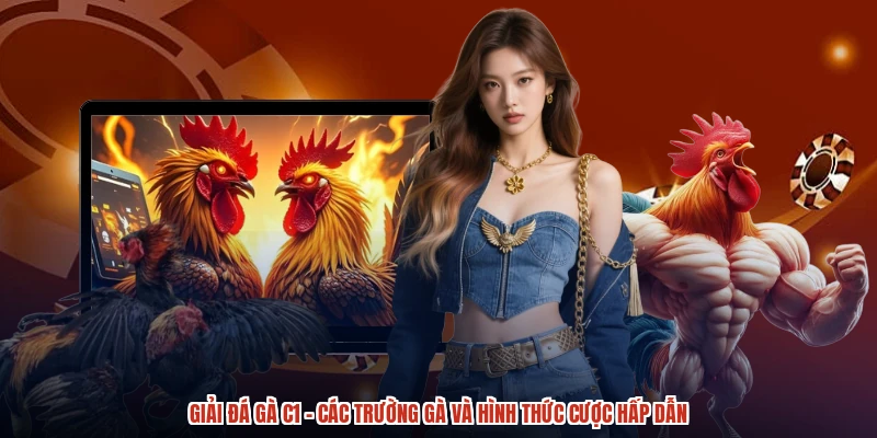Giải Đá Gà C1 - Các Trường Gà Và Hình Thức Cược Hấp Dẫn