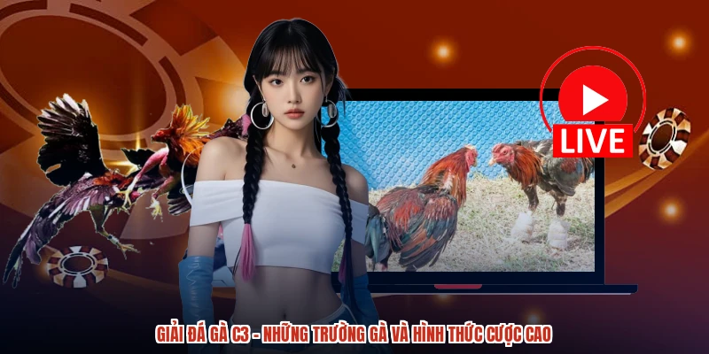 Giải Đá Gà C3 - Những Trường Gà Và Hình Thức Cược Cao