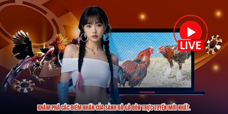 Khám phá các điểm nhấn của sảnh đá gà đòn trực tuyến mới nhất. Khám phá các điểm nhấn của sảnh đá gà đòn trực tuyến mới nhất.