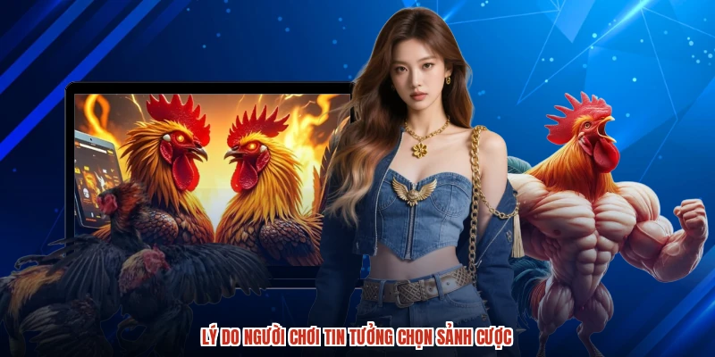 Lý do người chơi tin tưởng chọn sảnh cược Lý do người chơi tin tưởng chọn sảnh cược
