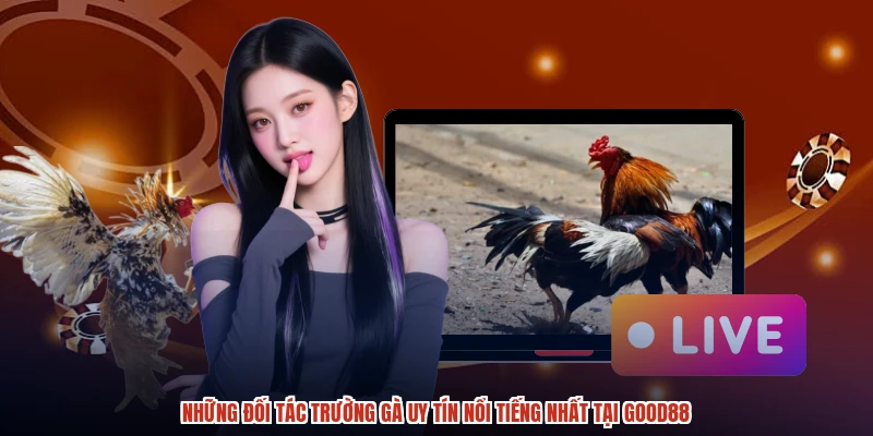 Những đối tác trường gà uy tín nổi tiếng nhất tại GOOD88 Những đối tác trường gà uy tín nổi tiếng nhất tại GOOD88