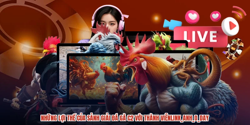 Những lợi thế của sảnh giải đá gà C2 với thành viênanhoday Những lợi thế của sảnh giải đá gà C2 với thành viênanhoday