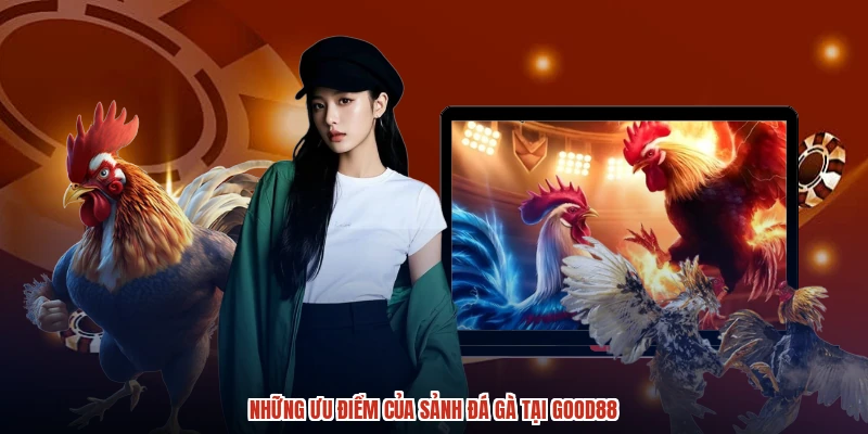 Những ưu điểm của sảnh đá gà tại GOOD88 Những ưu điểm của sảnh đá gà tại GOOD88