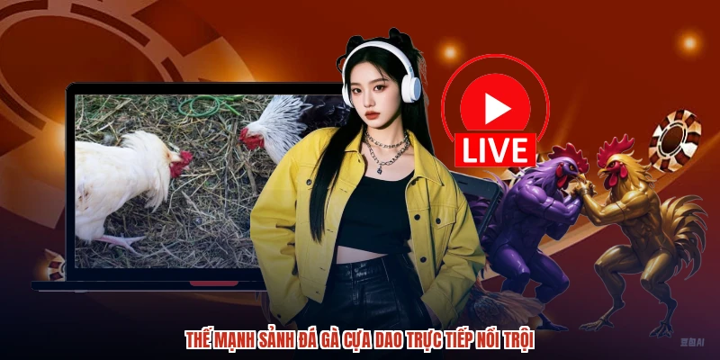 Thế mạnh sảnh đá gà cựa dao trực tiếp nổi trội Thế mạnh sảnh đá gà cựa dao trực tiếp nổi trội