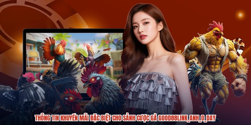 Thông tin khuyến mãi đặc biệt cho sảnh cược gà GOOD88anhoday Thông tin khuyến mãi đặc biệt cho sảnh cược gà GOOD88anhoday