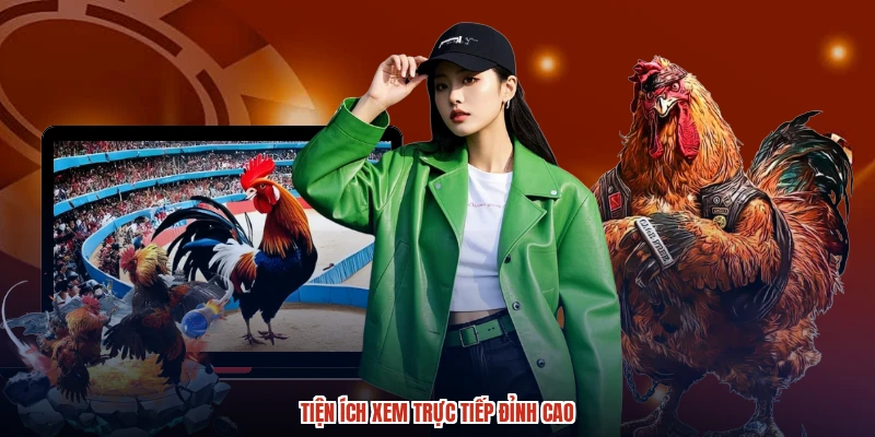 Tiện ích xem trực tiếp đỉnh cao Tiện ích xem trực tiếp đỉnh cao